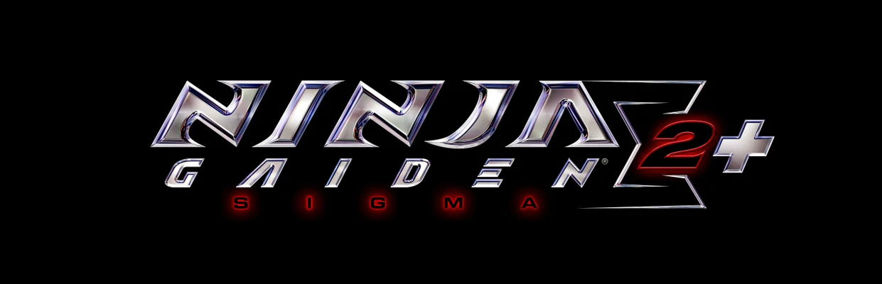ninja banner