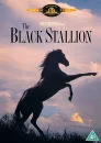The Black Stallion Image 1