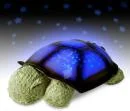 Twilight Turtle Image 1