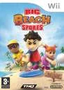 Big Beach Sports Image 1
