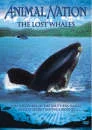 Animal Nation - The Lost Whales Image 1