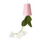 Sky Planter Upside Down Indoor Plant Pot - Pastel Pink Image 1