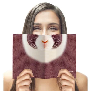 Animal Face Notebook - Rabbit Image 1