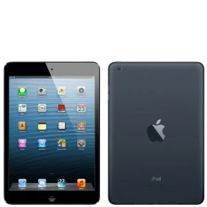 Apple iPad Mini: 64GB Wifi + 3G and 4G - Black and Slate Image 1