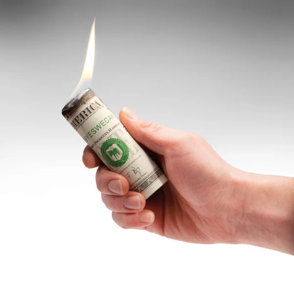 Money to Burn - Dollar Bill Styled Firelighters Image 1
