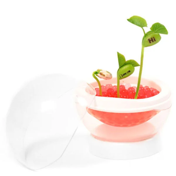 Beanstalk Pod Image 1