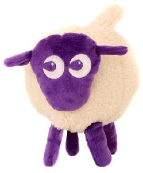 Ewan The Dream Sheep Image 1