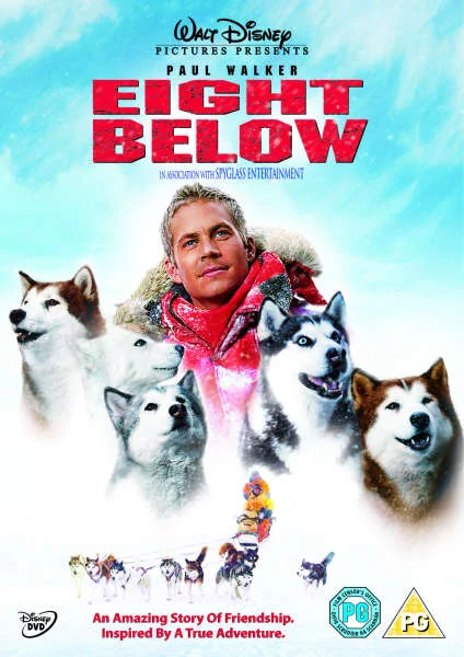 8 Below Image 1