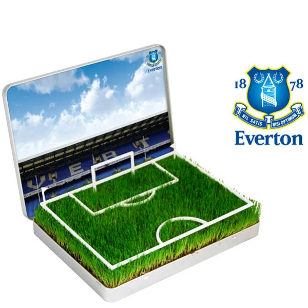 Grow Your Own Everton Mini Pitch Image 1