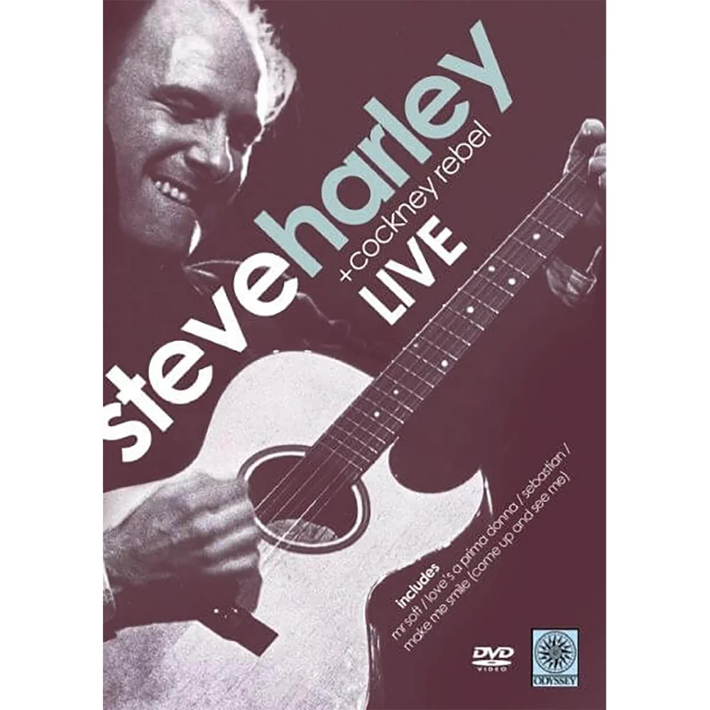 Steve Harley in Concert Image 1
