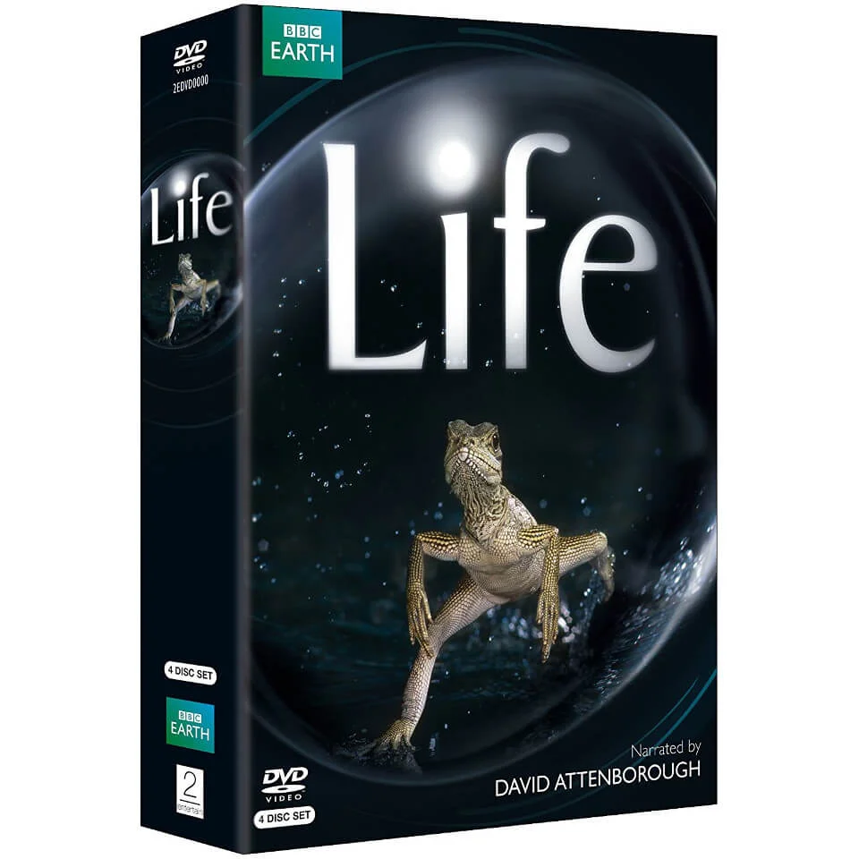 Life Image 1