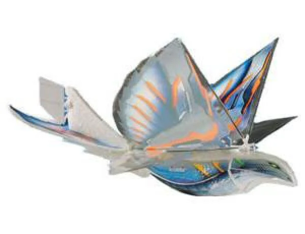 I-Bird Infra Red Ornithhopter Bird Image 1