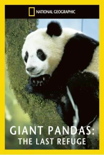 National Geographic: Giant Pandas The Last Refuge Image 1