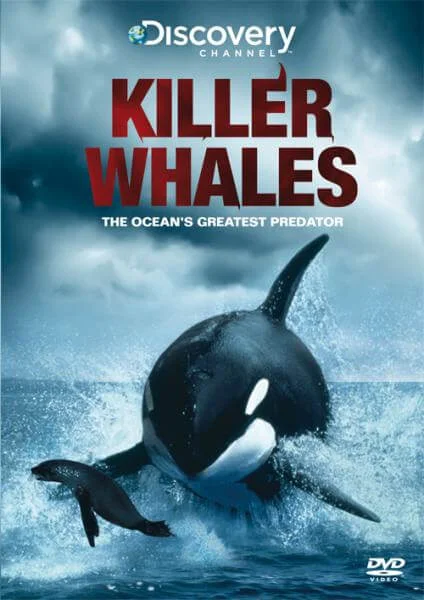 Killer Whales Image 1