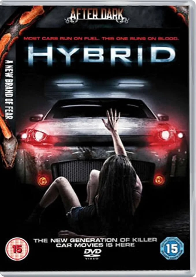 Hybrid 2D Image 1