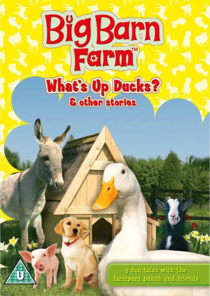 Big Barn Farm: What's Up Ducks? Image 1