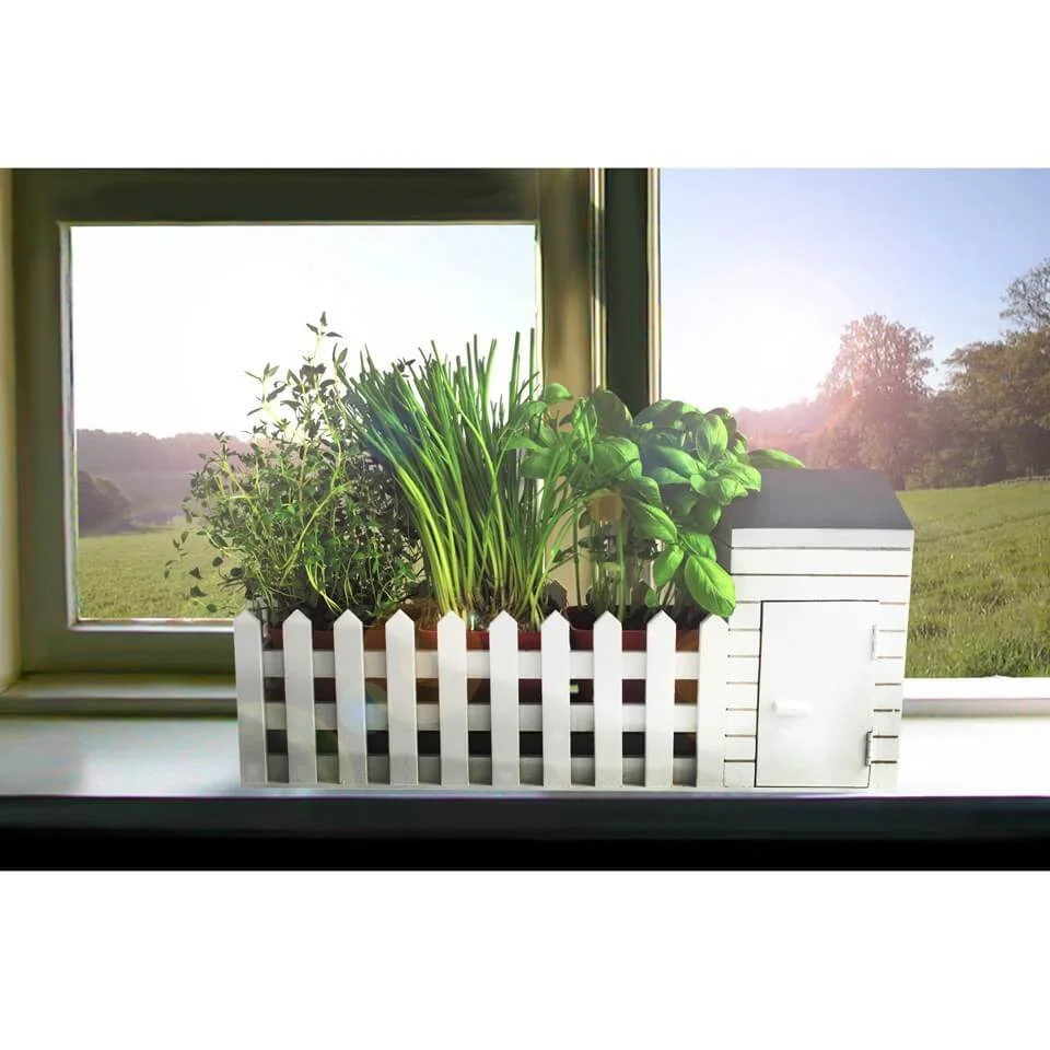 Indoor Allotment with Assorted Seeds Image 1