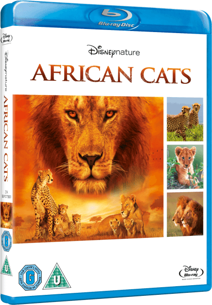 African Cats Image 1