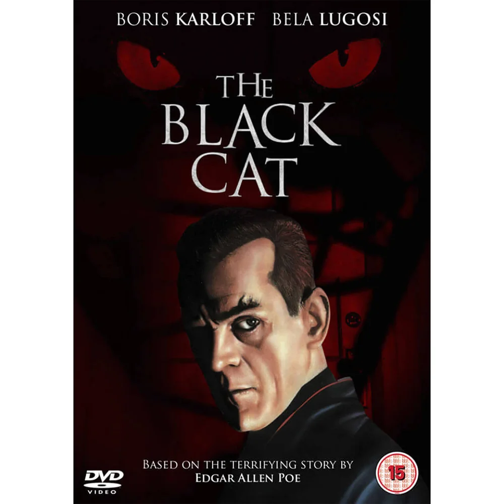 The Black Cat Image 1