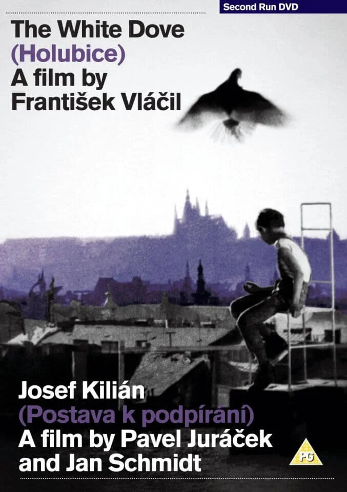 The White Dove / Josef Kilian Image 1