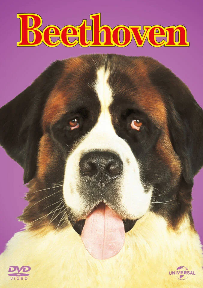 Beethoven - Big Face Edition Image 1