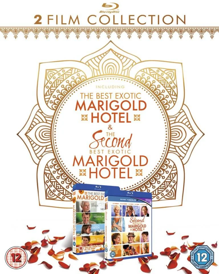 The Second Best Exotic Marigold Hotel 1-2 Box Set Image 1