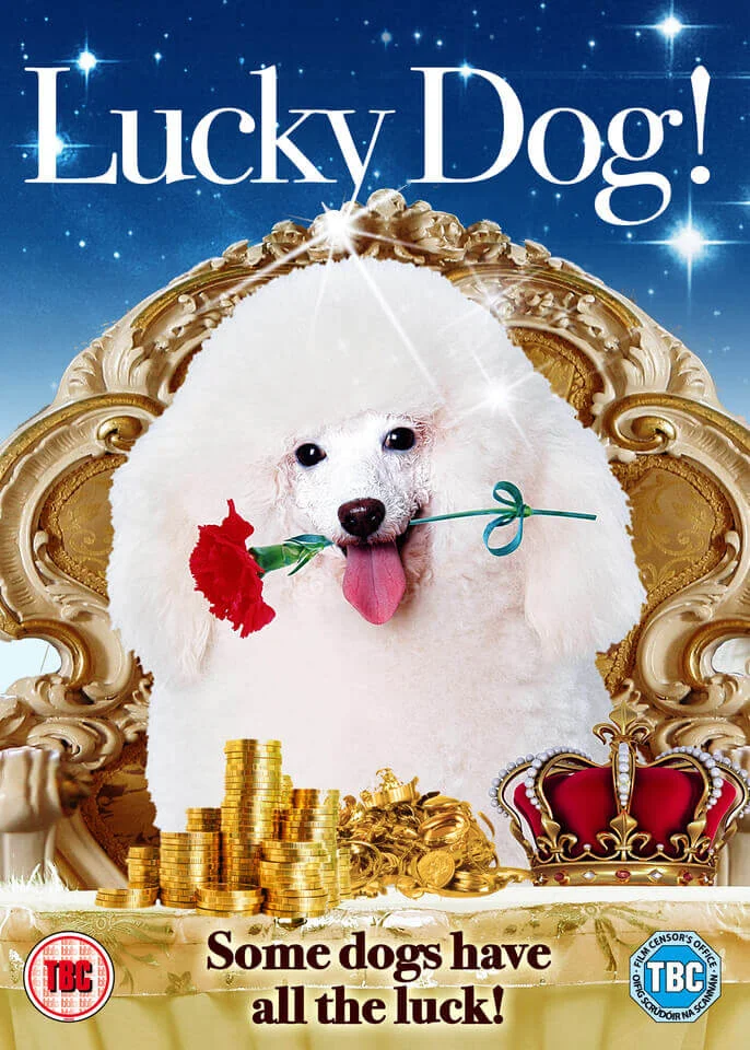 Lucky Dog Image 1