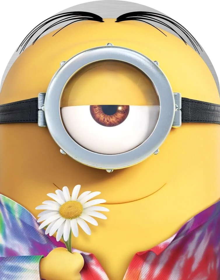 Minions Limited Edition: Collectors Case Image 1