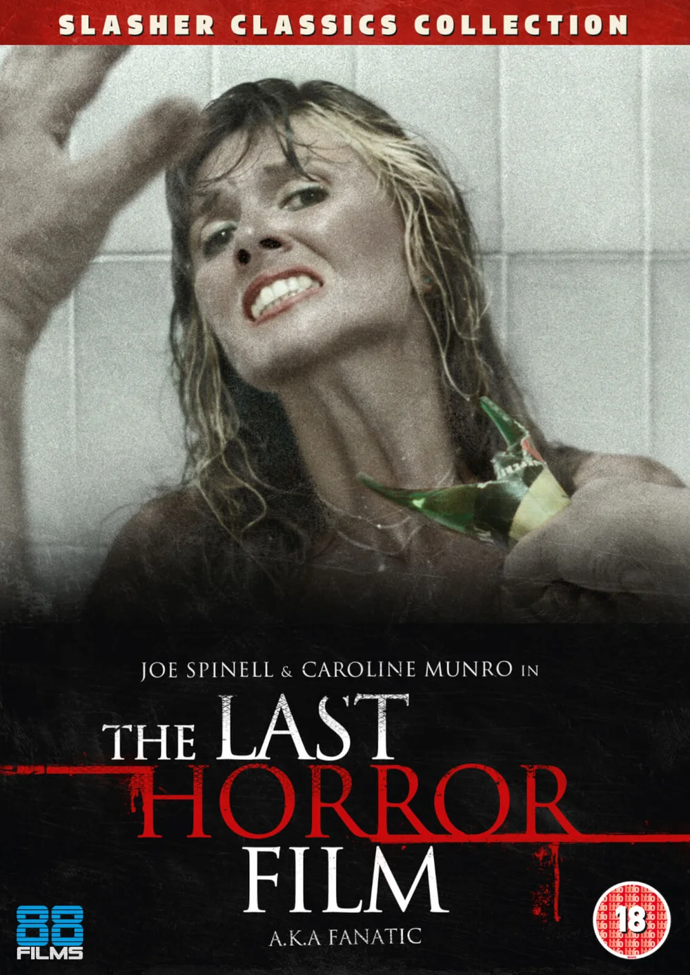 The Last Horror Film Image 1