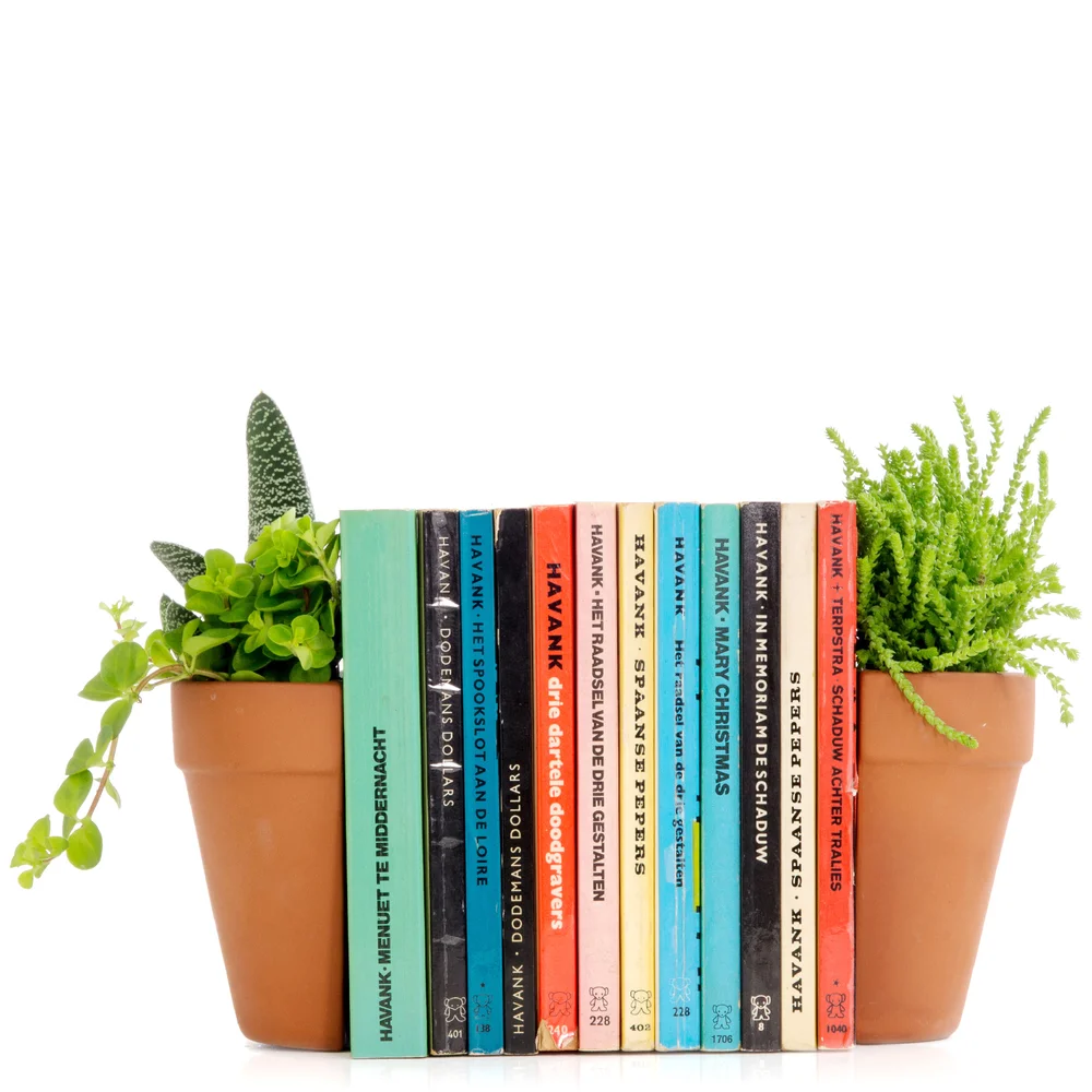 PLANT POT BOOKENDS Image 1