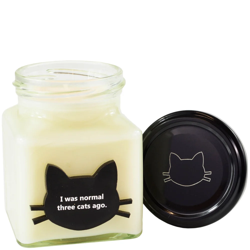 I Was Normal Three Cats Ago Crazy Cat Candle Image 1