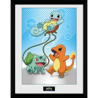 Pokémon Kanto Starters - 16 x 12 Inches Framed Photograph