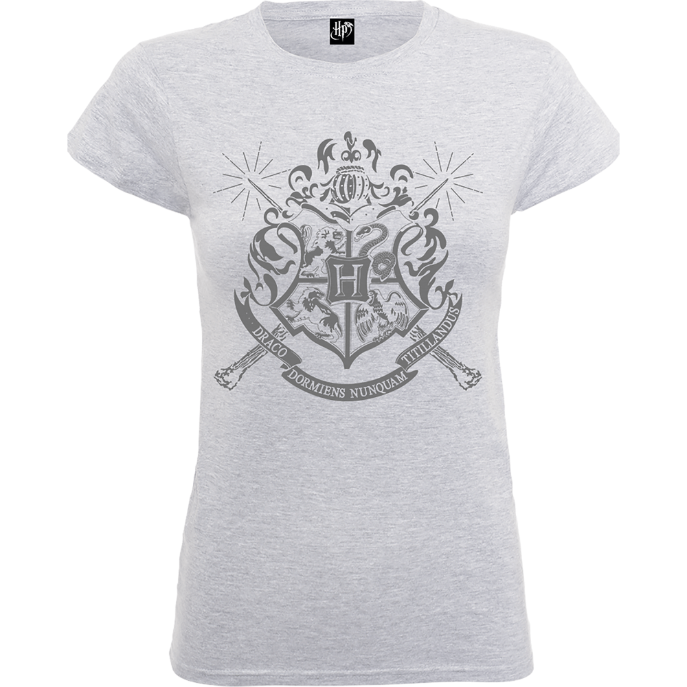 Harry Potter Draco Dormiens Nunquam Titillandus Women's Grey T-Shirt - S Image 1