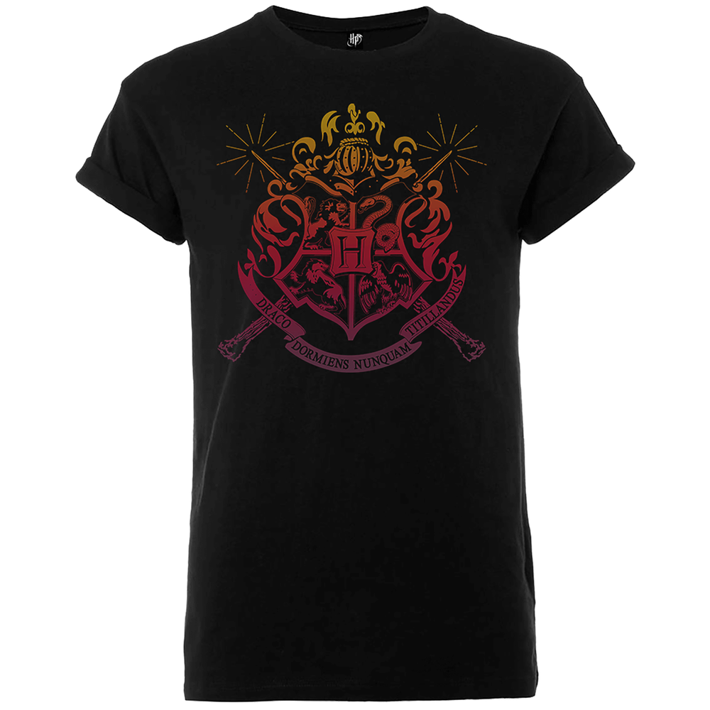 Harry Potter Draco Dormiens Nunquam Titillandus Men's Black T-Shirt - S Image 1