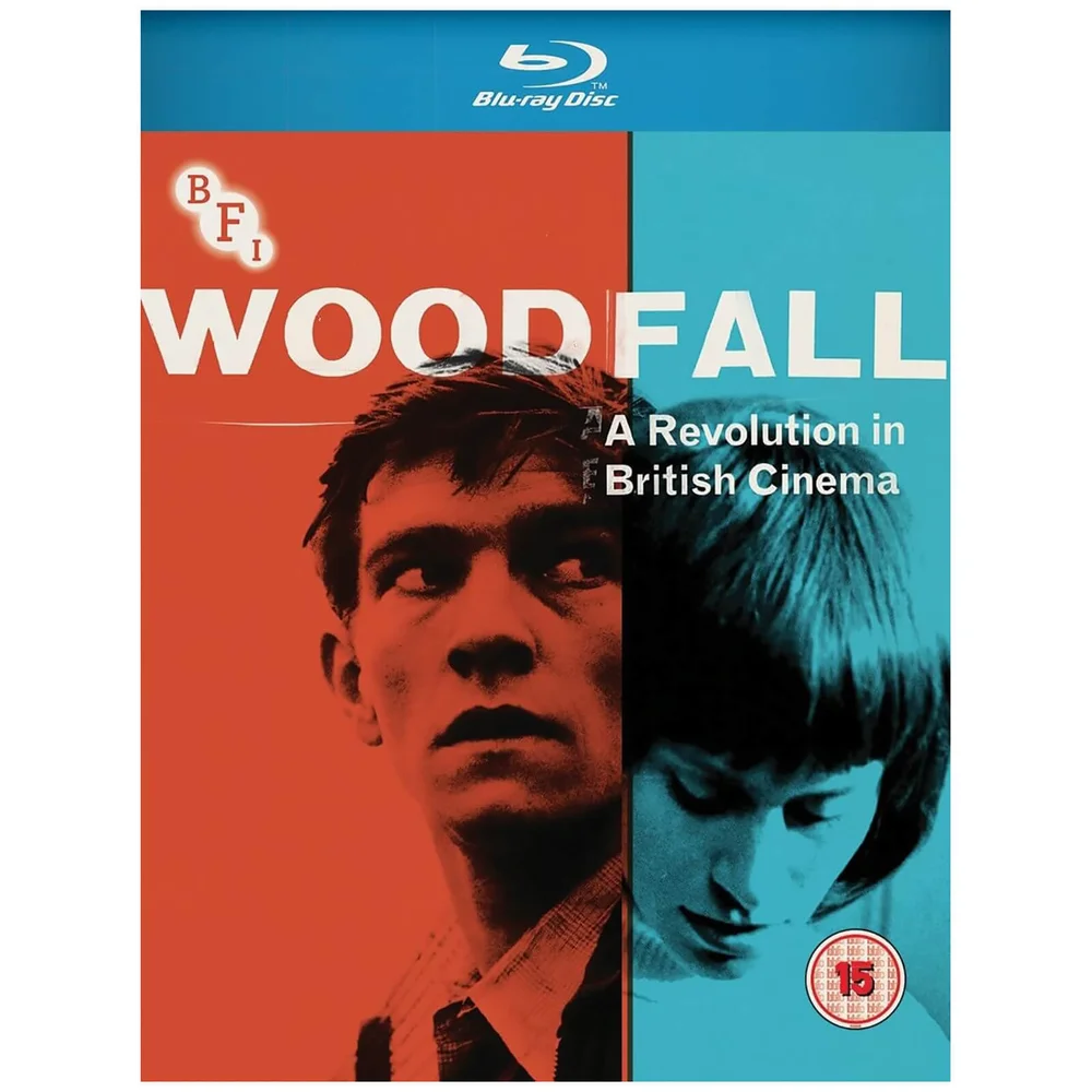 Woodfall: A Revolution in British Cinema Image 1