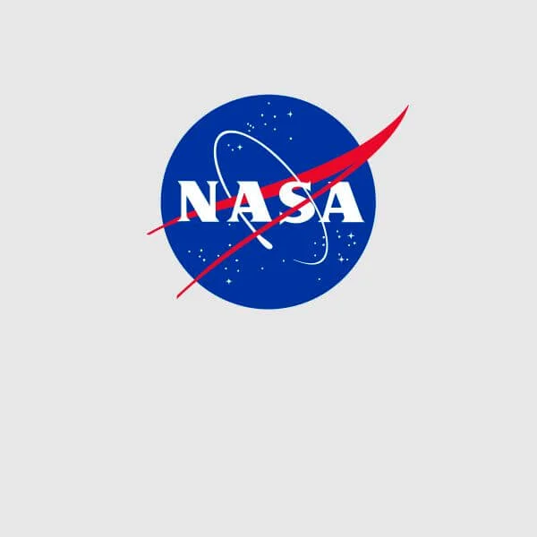 NASA Logo Insignia Women's T-Shirt - Grey