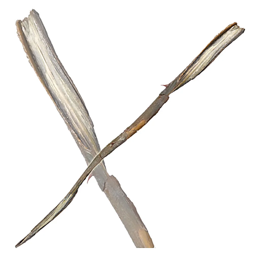 Harry Potter Gellert Grindelwald's Wand Image 1