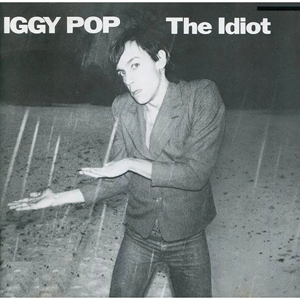 Iggy Pop - The Idiot 12 Inch Vinyl Image 1