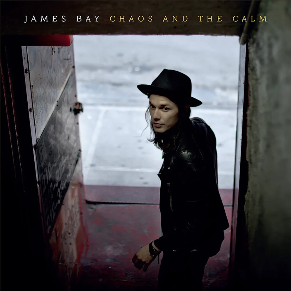 James Bay - Chaos And The Calm 12 Inch LP Image 1