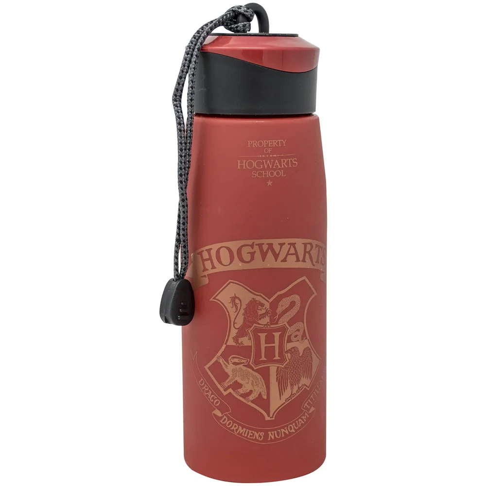 Harry Potter Water Bottle 550ml Image 1