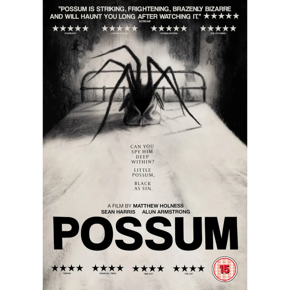 Possum Image 1