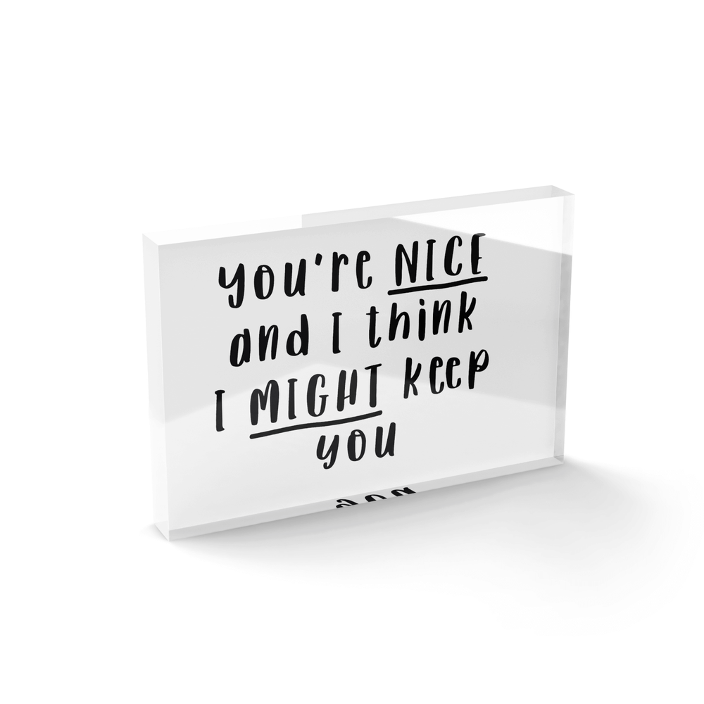 You're Nice And I Think I Might Keep You Glass Block - 80mm x 60mm Image 1