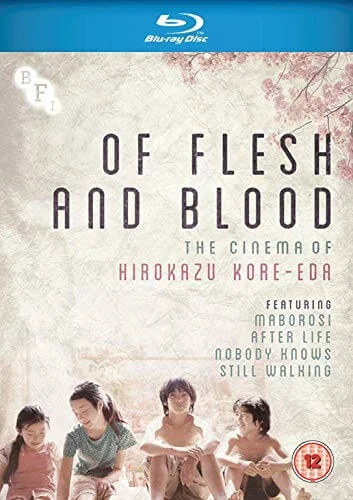 Of Flesh and Blood: The Cinema of Hirokazu Kore-Eda Image 1