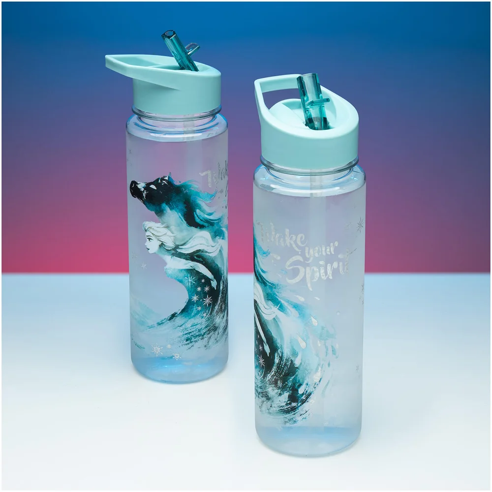 Frozen 2 Water Bottle Image 1