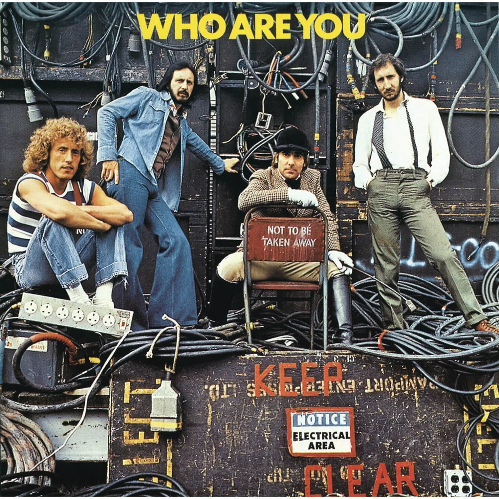 The Who - Who Are You Vinyl Image 1