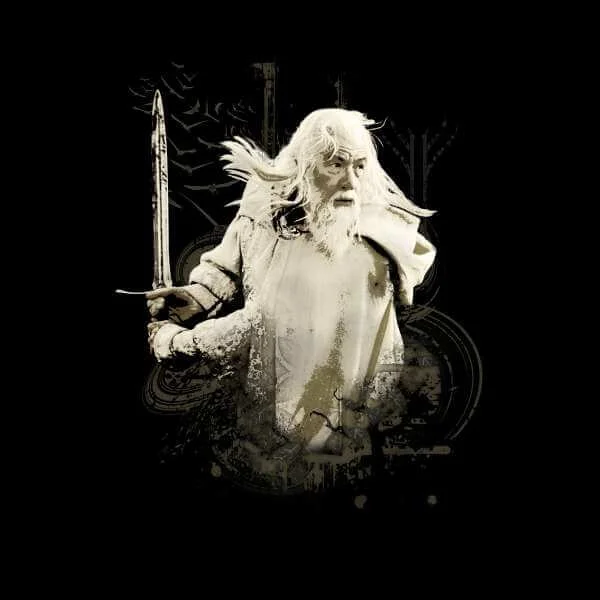 The Lord Of The Rings Gandalf Men's T-Shirt - Black
