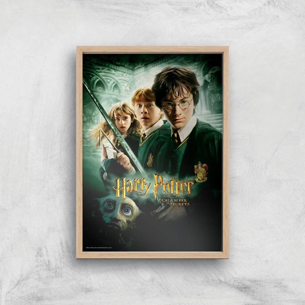 Harry Potter and the Chamber Of Secrets Giclee Art Print - A4 - Wooden Frame Image 1