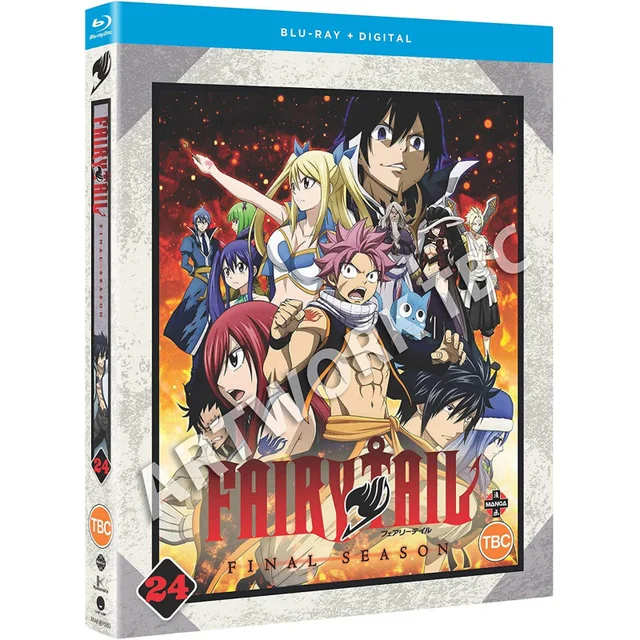 Fairy Tail: The Final Season: Part 24 (Episodes 291-303)