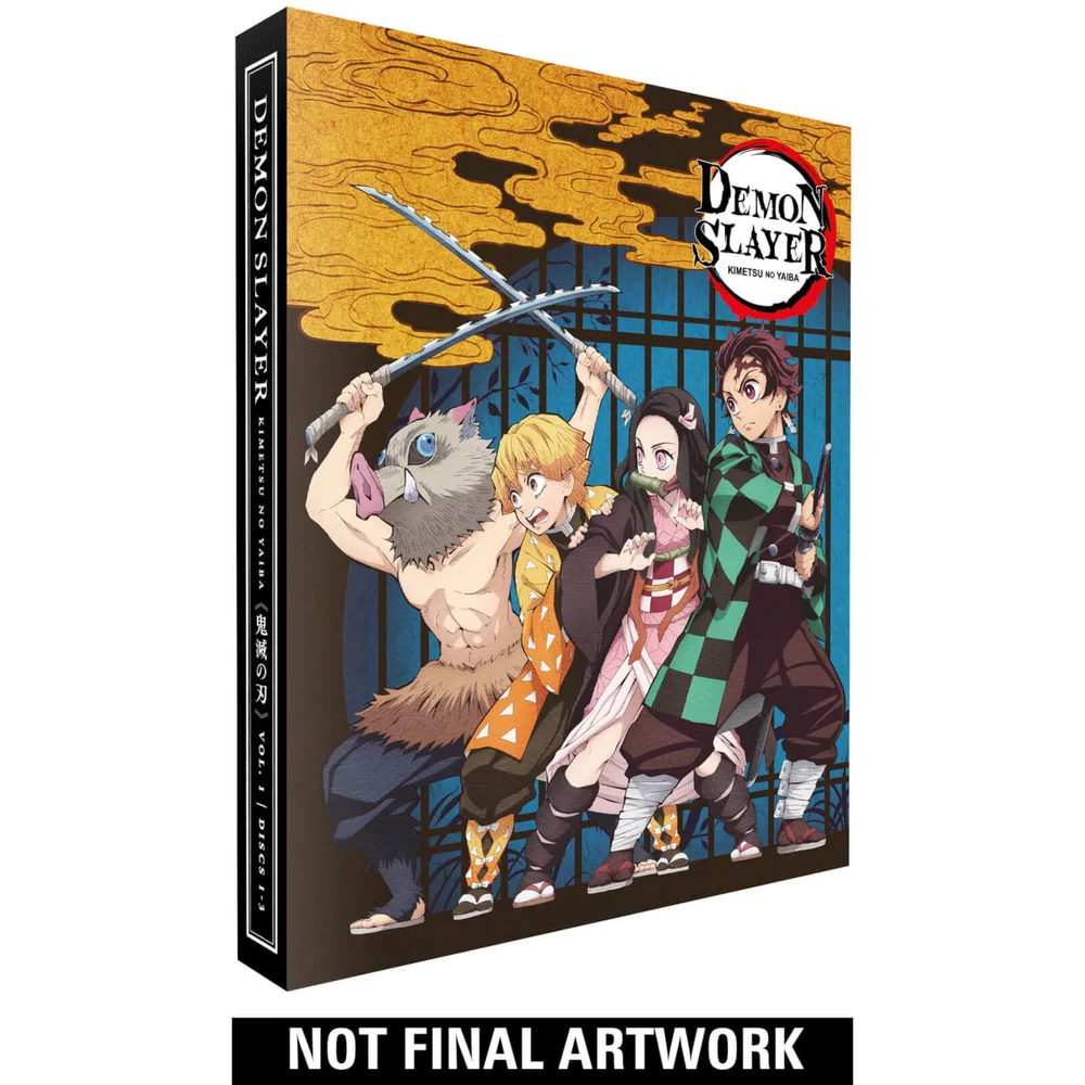 Demon Slayer Kimetsu no Yaiba - Part 1 Collector's Edition Image 1