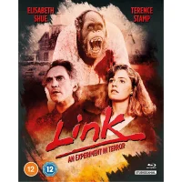 Link - undefined undefined